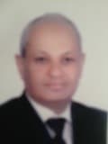 Faisal F. Adam, fellowship faculty at Assiut University Faculty of Medicine