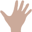 British Society for Surgery of the Hand logo