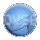 DVSE (D-A-CH Vereinigung für Schulter- und Ellenbogenchirurgie) logo