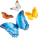 Nationwide Children's Hospital, Center for Orthopedic Innovation logo