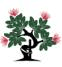 North Shore Hospital / Health New Zealand - Waitemata logo