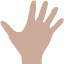 British Society for Surgery of the Hand logo