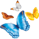 Nationwide Children's Hospital, Department of Orthopedic Surgery logo