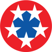 Eisenhower Health Adult Reconstruction Fellowship logo