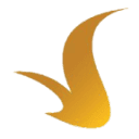 Vinmec Healthcare System / VinUniversity logo